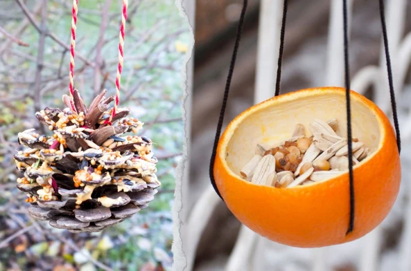Warto pomóc ptakom w przetrwaniu zimy i zrobić naturalny karmnik z ich ulubionych przysmaków