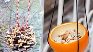 Warto pomóc ptakom w przetrwaniu zimy i zrobić naturalny karmnik z ich ulubionych przysmaków.