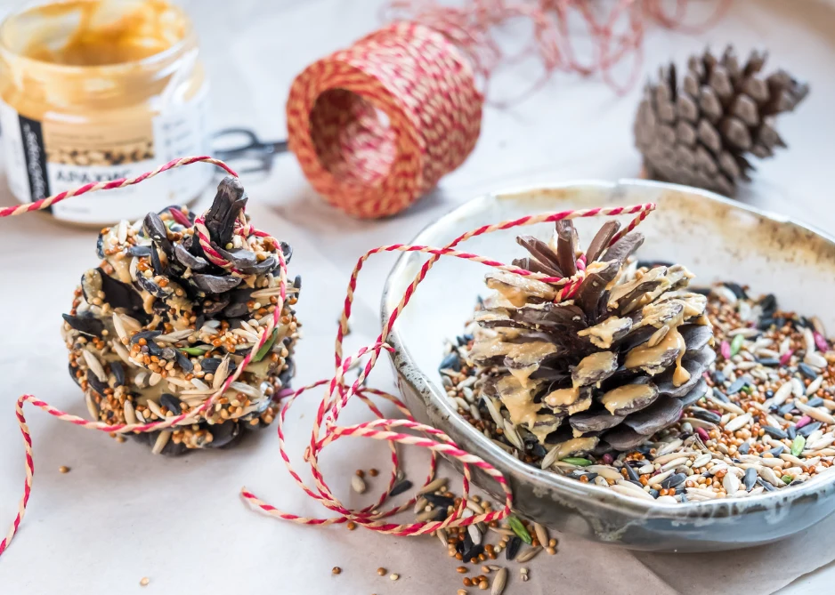 Pomysł na karmnik dla ptaków z szyszek