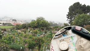 Kiedy najlepiej kupować działki ROD?