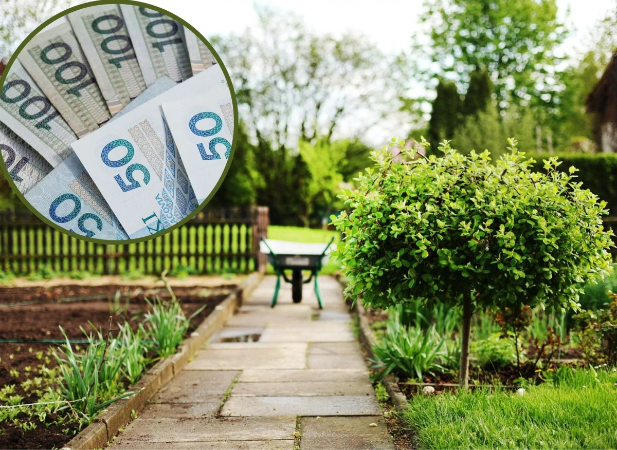 Jest niewielu chętnych, a można zdobyć 100 tys