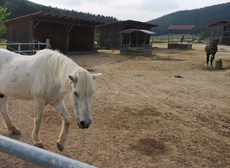 Zakup domu zwiększył powierzchnię i wartość całej posiadłości nowego właściciela