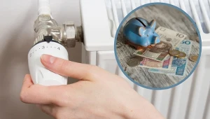 Dobrze ustawiony termostat na kaloryferze oznacza oszczędności na ogrzewaniu.
