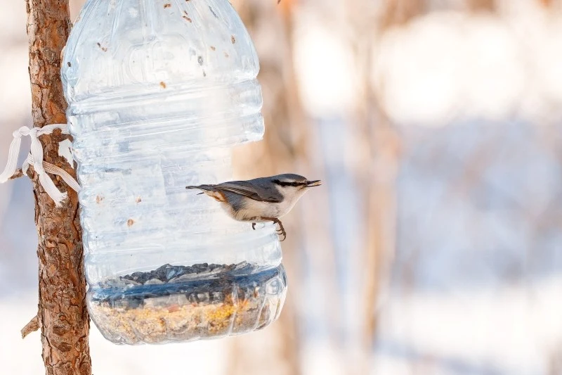 Karmnik dla ptaków powinien być stabilny, umieszczony na balkonie lub drzewie
