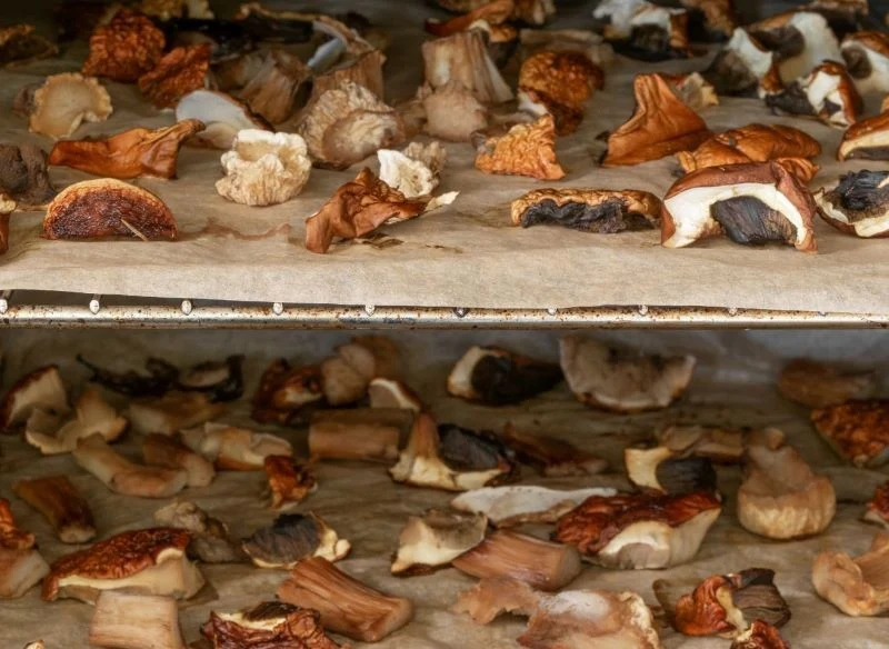 Grzyby suszymy w piekarniku przez kilka godzin