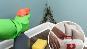 Wszystko, czego potrzebujesz do usunięcia pleśni masz w domu.