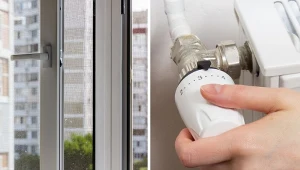 Dlaczego warto ściągać moskitiery na zimę?