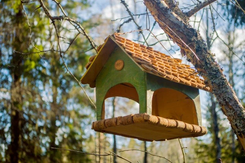 Neutralne kolory chronią przed drapieżnikami - zadbaj, aby karmnik wtopił się w tło