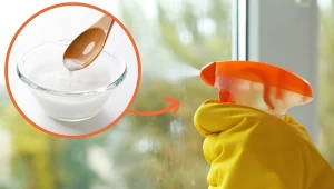 Najlepszy środek do mycia okien znajdziesz we własnej kuchni.