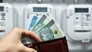Zgodnie z rozporządzeniem Ministra Klimatu i Środowiska spółki energetyczne będą musiały zwrócić Polakom nawet do 125 zł za prąd./East News