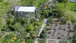 We wrześniu weszła w życie znowelizowana ustawa o planowaniu i zagospodarowaniu przestrzennym, która otwiera furtkę do likwidacji działek ROD./East News