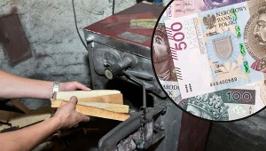 Sprawdź, jakie są ceny drewna opałowego w listopadzie 2023 roku. Fot.CanvaPro/Bartlomiej Magierowski/East News