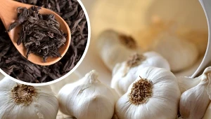 Dzięki prostym trikom świeżość czosnku można przedłużyć.