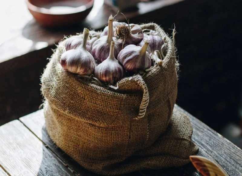 Duże ilości czosnku warto przechowywać w jutowym worku