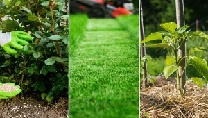 Najważniejsze czynności, które trzeba wykonać przed nadejściem zimy.