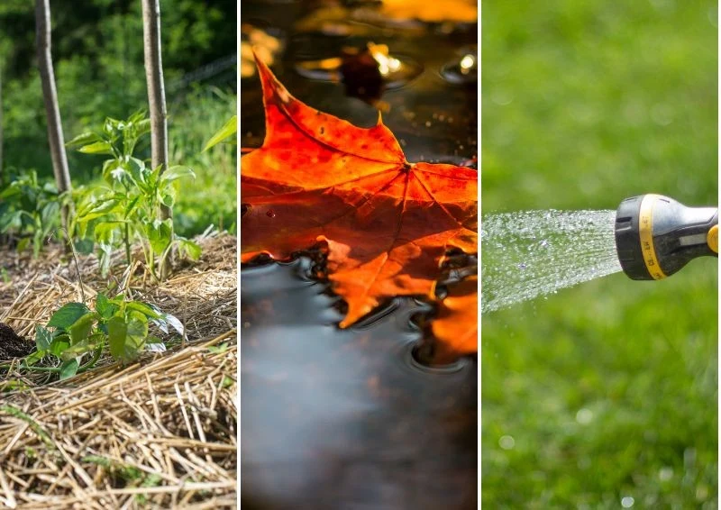 Wiosną będzie łatwiej rozpocząć nowy okres wegetacyjny
