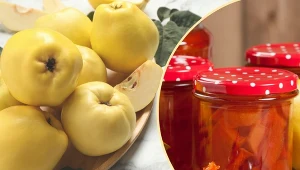 Pigwa znana jest ze swoich właściwości podnoszących odporność organizmu.