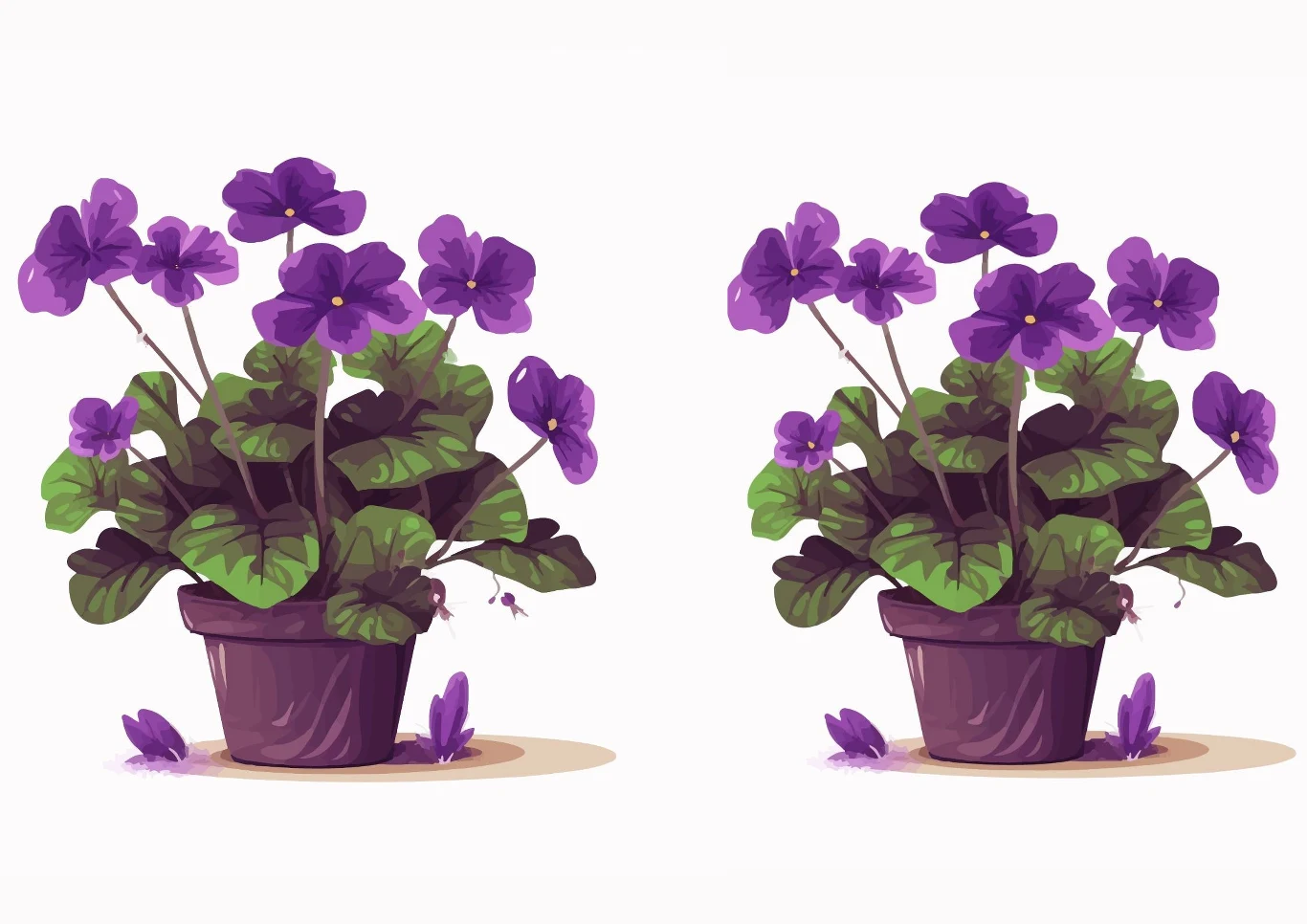 Znajdź 6 różnic na fiołkach