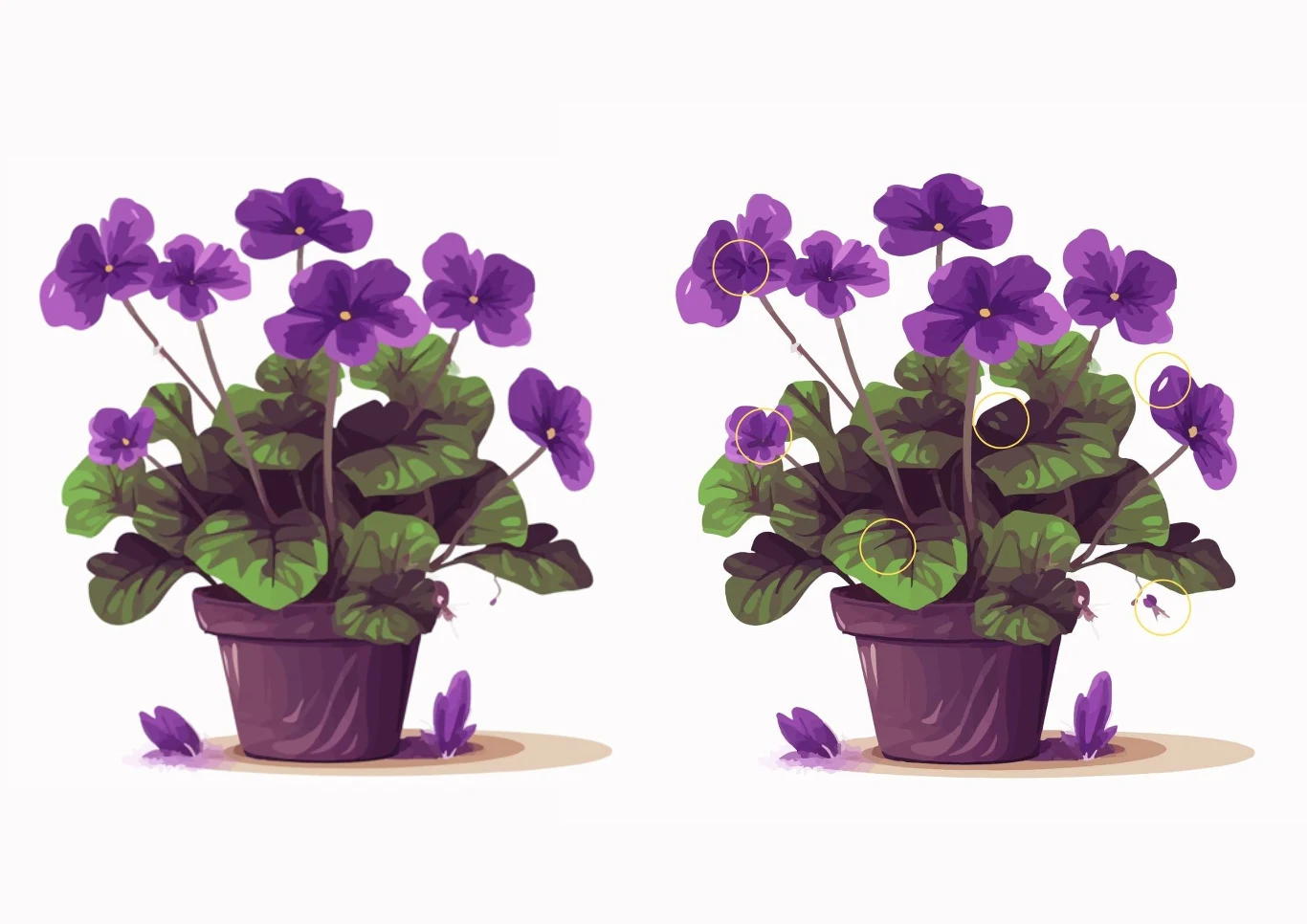 A oto rozwiązanie zagadki optycznej