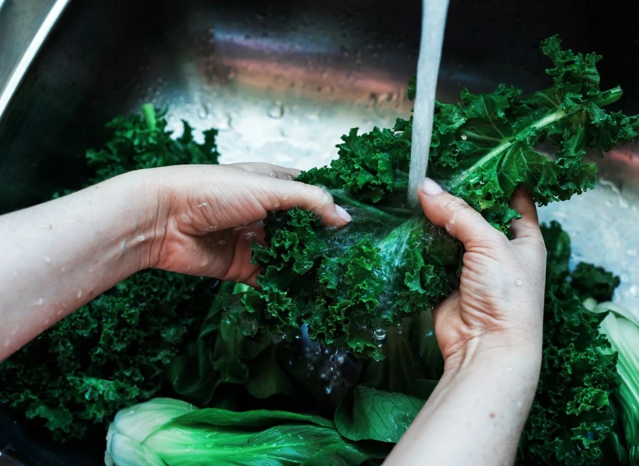 Jarmuż to wartościowe warzywo bogate witaminy i składniki mineralne