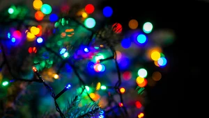 Lampki choinkowe „na żabki” to oferta skierowana do fanów stylu retro