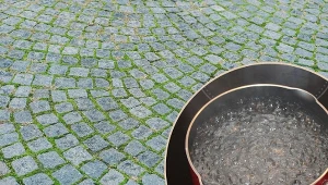 Walka z mchem może być czasochłonna. Jednak jeśli będziesz regularnie go usuwać, z czasem zyskasz większą "wprawę".