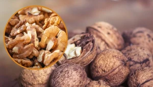 Orzechy włoskie możemy przechowywać najwyżej przez 12 miesięcy. Jak to dobrze zrobić?