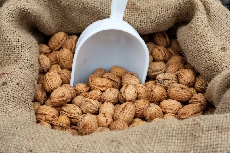 Orzechy włoskie można suszyć w jutowych workach