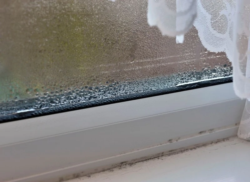 Zaparowane okna to problem, który występuje zwłaszcza w okresie jesienno-zimowym