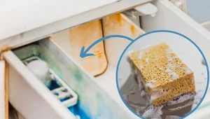 Czym najlepiej wyczyścić szufladę pralki, gdzie osadza się kamień i pleśń?