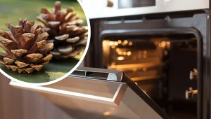 Szyszki można wykorzystać w domu na wiele ciekawych sposobów.