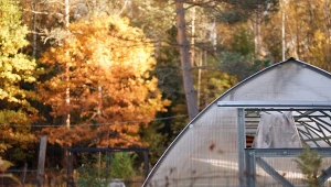 Jesień to czas na porządkowanie szklarni po sezonie.