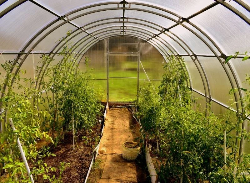 Lista prac w szklarni pod koniec sezonu jest długa