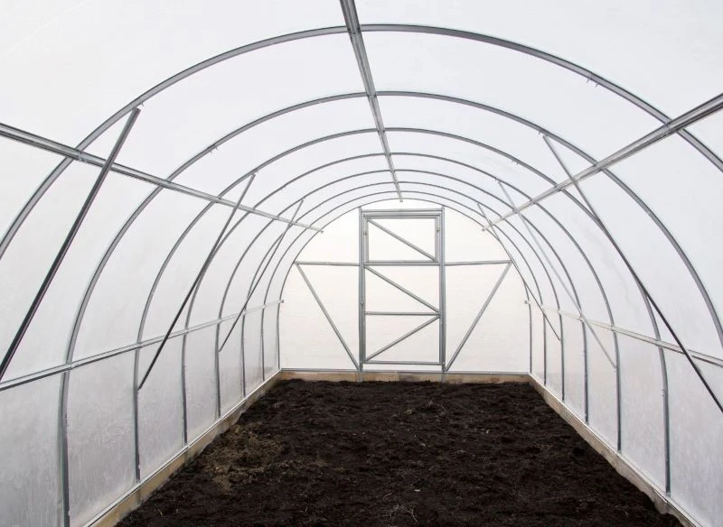 Przed zimą powinniśmy zadbać nie tylko o czystość szklarni, ale również jakość gleby pod osłonami