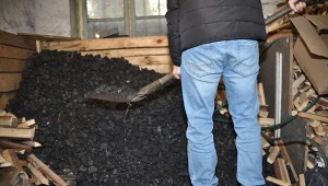 Sprawdzamy ceny węgla i ekogroszku pod koniec roku. Ile trzeba zapłacić za tonę?/East News