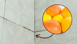 Poznaj sprawdzony sposób, dzięki któremu w mig usuniesz pleśń na fugach.