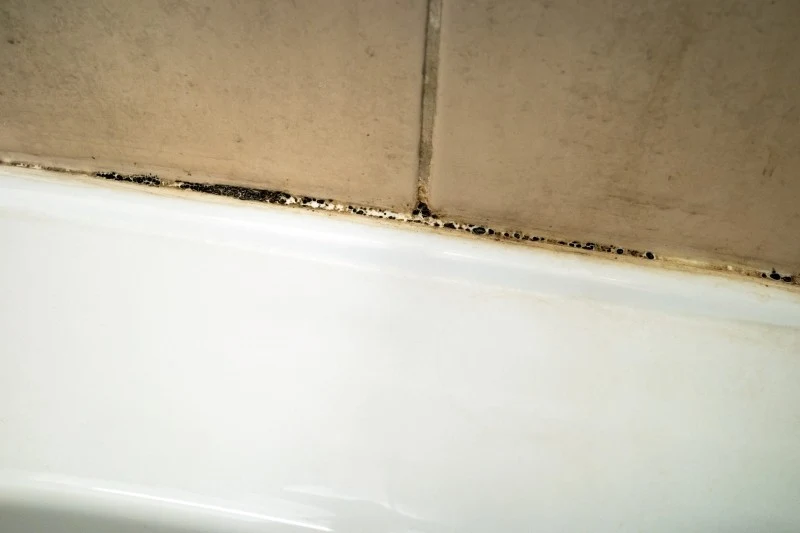 Pleśń na fugach może być szkodliwa dla naszego zdrowia