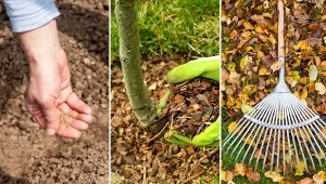 Sprawdź, jakie prace trzeba wykonać w ogrodzie w listopadzie.