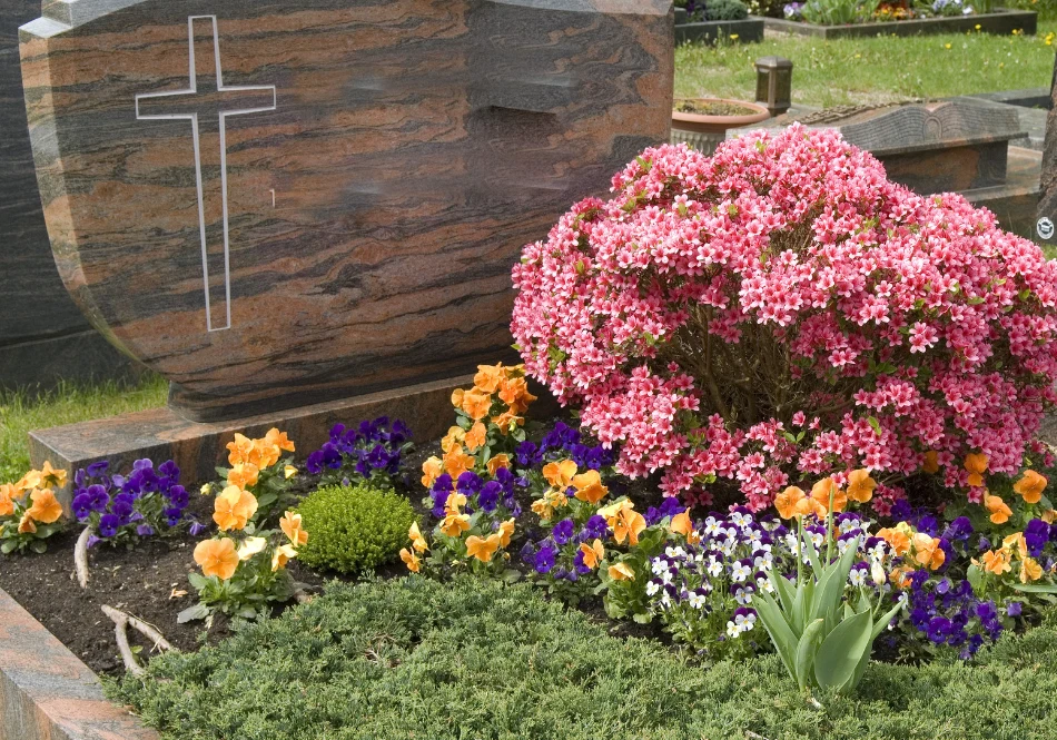 Bratki symbolizują pamięć o zmarłym