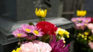 Trwałość kwiatów ciętych na cmentarz można przedłużyć na kilka prostych sposobów.