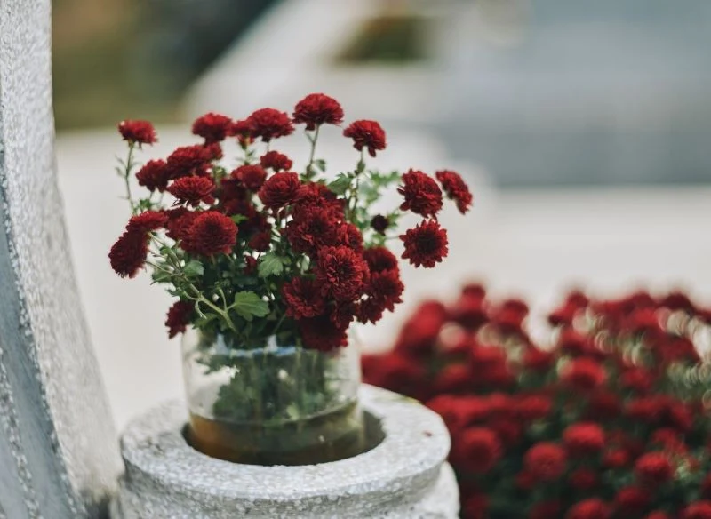 Najpopularniejszymi kwiatami w cmentarnych wazonach są cięte chryzantemy