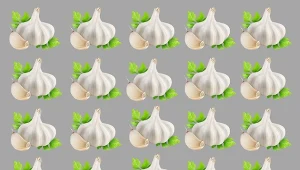 Zagadka optyczna - znajdź podmienioną główkę czosnku.