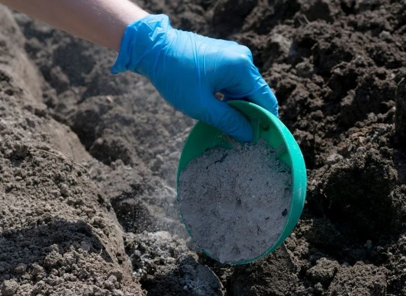 Popiół wykorzystywany w ogrodzie nie może pochodzić z malowanego, lakierowanego ani impregnowanego drewna