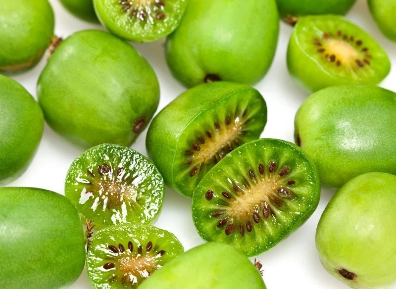 Minikiwi to smaczne i wartościowe owoce