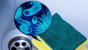 Najbrudniejsze miejsca w domu. Nie masz pojęcia, czym myjesz naczynia