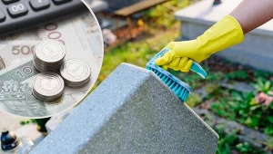 Nie możesz posprzątać grobu, przyjechać z kwiatami? Zrobią to za ciebie.