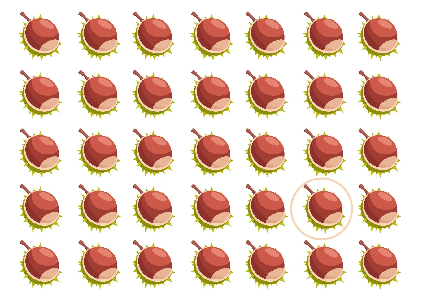 Jest i nasz odmieniony kasztan