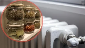 Przyprawę o przyjemnym aromacie wykorzystasz nie tylko podczas gotowania.