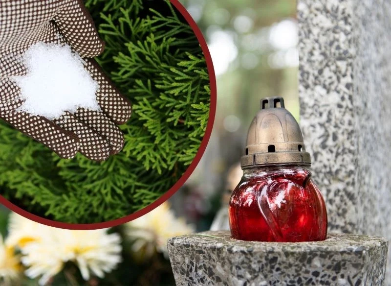 Rozsypywanie soli na cmentarzu negatywnie wpływa nie tylko na rośliny, ale również na nagrobki