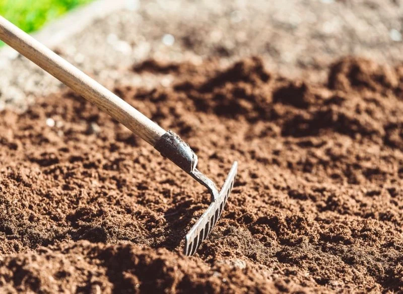 Rabatę no dig najlepiej założyć jesienią, ale możemy to zrobić również wiosną i latem
